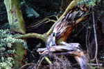 ToiL[