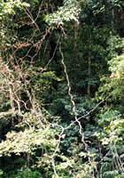 tVÅ~cor{EJỸc