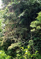 tVÅ~cor{EJỸc