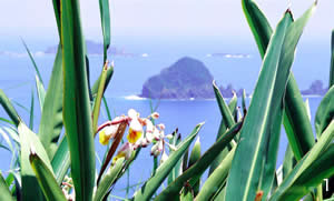 QbgẺԂƒO蓇