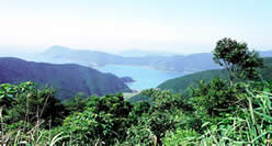 vC̉i
