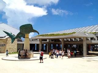 美ら海水族館のモニュメント