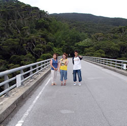 比地川にかかる長尾橋と照葉樹林