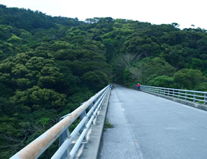 長尾橋