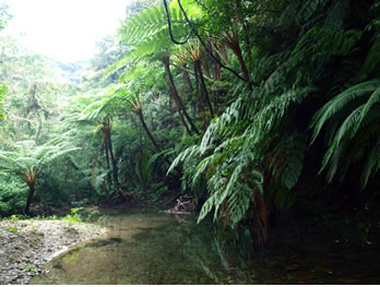 比地川上流部の河川景観